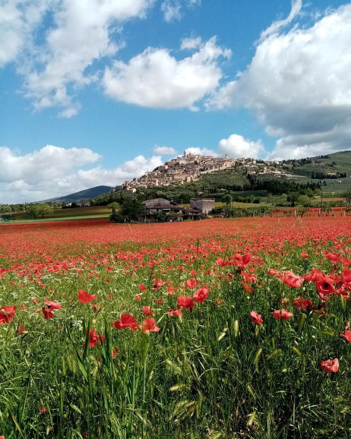 La Casetta Trevi Kültér fotó
